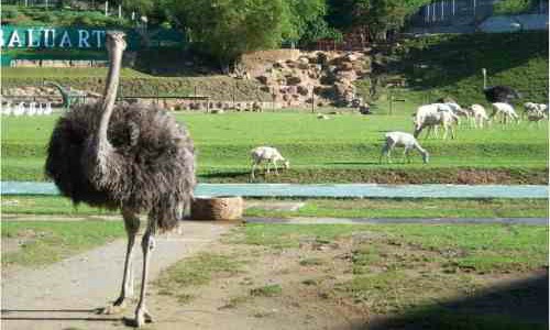 Baluarte