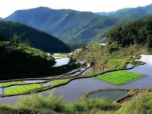 banaue rice terraces paddies ready for planting care ifugao