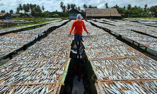 Dumolog Fish Drying Area