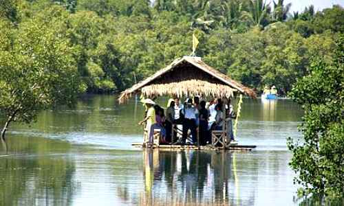 Culajao Mangrove Eco-Park cruise