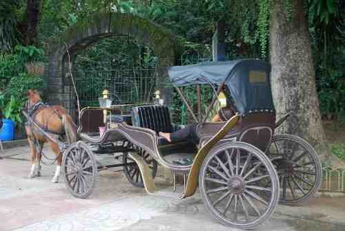 Horse-Drawn Carriage Ride