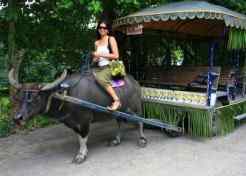  Villa Escudero Plantations and Resort care cheap-places-to-retire