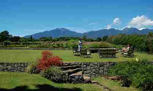 Vista of a Bukidnon farm estate backyard