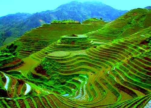 Banaue rice terraces gem of philippine-provinces