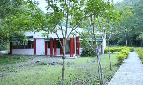 Foundation research and development center care philippine-tarsier