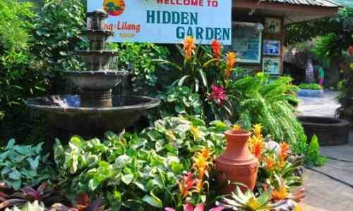 Hidden Garden