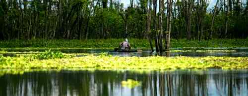  Agusan marsh care philippine-provinces