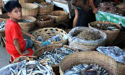 Banica Dried Fish Market