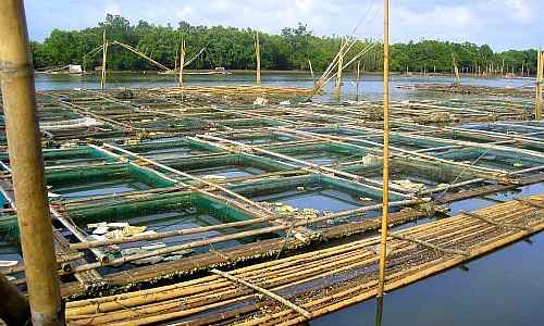 Aquaculture Farm