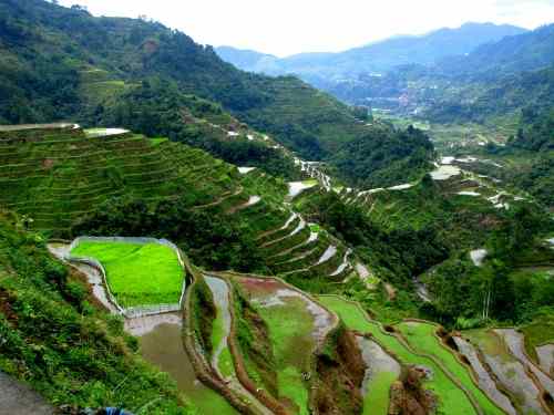Banaue rice terraces care philippines vacation
