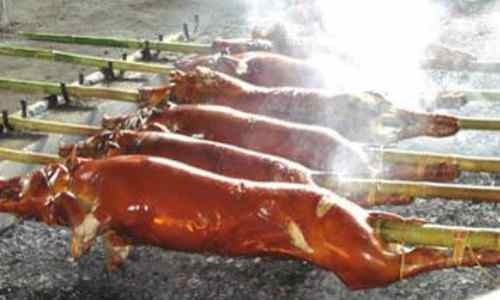 Roasting Cebu lechon care philippines vacation