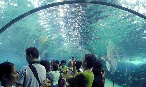 Manila Ocean Park