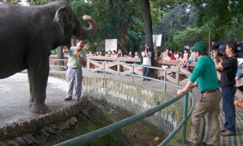 Manila zoo