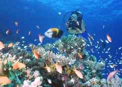 Diving Scenes care cheap-places-to-retire
