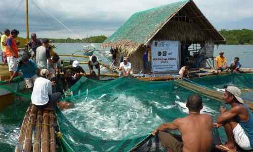 Aquaculture business care jobs-in-the-philippines